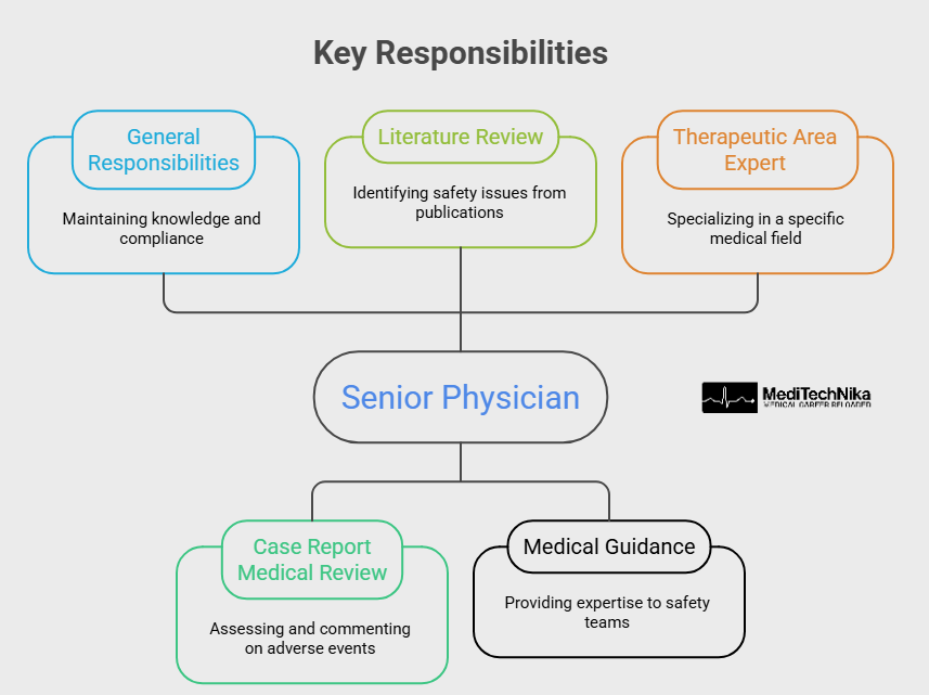 Key Responsibilities