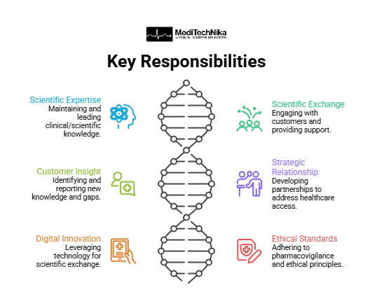 Key Responsibilities