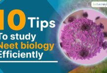 10 SOLID TIPS To Study NEET Biology Efficiently ย Study NEET Biology