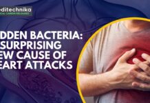 Cause of Heart Attack: Hidden Bacteria in Your Arteries Could Be the Silent Killer Cause of Heart Attack: Hidden Bacteria in Your Arteries Could Be the Silent Killer