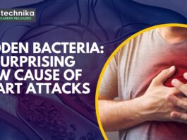 Cause of Heart Attack: Hidden Bacteria in Your Arteries Could Be the Silent Killer