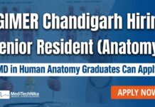Medical Job Alert: Senior Resident Walk-In Interview at PGIMER Chandigarh Medical Job at PGIMER Chandigarh - Senior Resident Walk-Inย