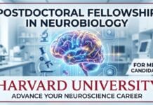 Postdoctoral Fellowship in Neurobiology at Harvard University for MD Candidates – Advance Your Neuroscience Career Postdoctoral Fellowship at Harvard Medical School | Neurobiology