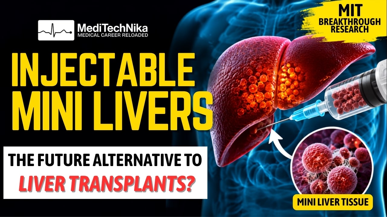 Injectable mini liver technology showing satellite liver tissue being injected to support liver function as a potential alternative to liver transplantation, based on MIT regenerative medicine research. Injectable mini liver technology showing satellite liver tissue being injected to support liver function as a potential alternative to liver transplantation, based on MIT regenerative medicine research.